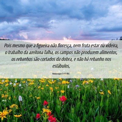 Picture 06 - Habacuque 3:17 BSL - Pois mesmo que a figueira não floresça, nem - Bible Verse Picture