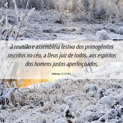 Picture 06 - Hebreus 12:23 BSL - à reunião e assembléia festiva dos - Bible Verse Picture