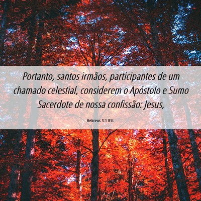 Picture 06 - Hebreus 3:1 BSL - Portanto, santos irmãos, participantes de um - Bible Verse Picture