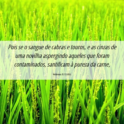Picture 06 - Hebreus 9:13 BSL - Pois se o sangue de cabras e touros, e as cinzas - Bible Verse Picture
