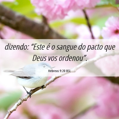 Picture 06 - Hebreus 9:20 BSL - dizendo: “Este é o sangue do pacto que Deus - Bible Verse Picture