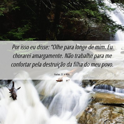 Picture 06 - Isaías 22:4 BSL - Por isso eu disse: “Olhe para longe de mim. Eu - Bible Verse Picture