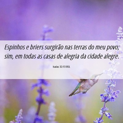 Picture 06 - Isaías 32:13 BSL - Espinhos e briers surgirão nas terras do meu - Bible Verse Picture
