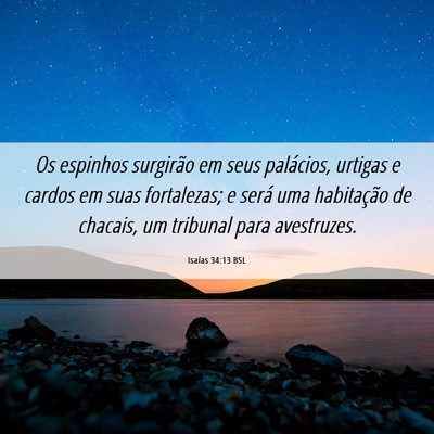 Picture 06 - Isaías 34:13 BSL - Os espinhos surgirão em seus palácios, urtigas - Bible Verse Picture