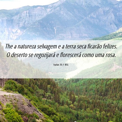 Picture 06 - Isaías 35:1 BSL - The a natureza selvagem e a terra seca ficarão - Bible Verse Picture