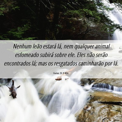 Picture 06 - Isaías 35:9 BSL - Nenhum leão estará lá, nem qualquer animal - Bible Verse Picture