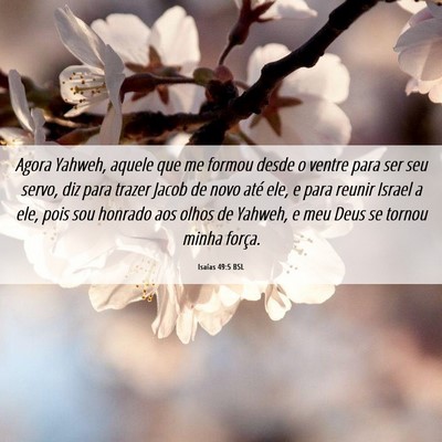 Picture 06 - Isaías 49:5 BSL - Agora Yahweh, aquele que me formou desde o ventre - Bible Verse Picture
