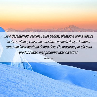 Picture 06 - Isaías 5:2 BSL - Ele o desenterrou, recolheu suas pedras, - Bible Verse Picture