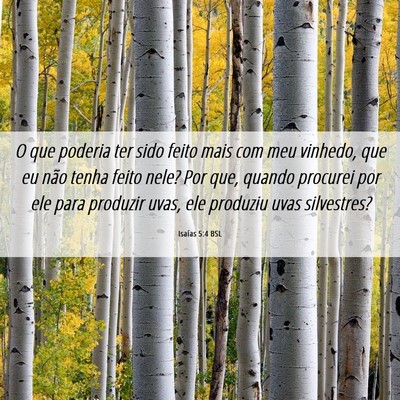 Picture 06 - Isaías 5:4 BSL - O que poderia ter sido feito mais com meu - Bible Verse Picture