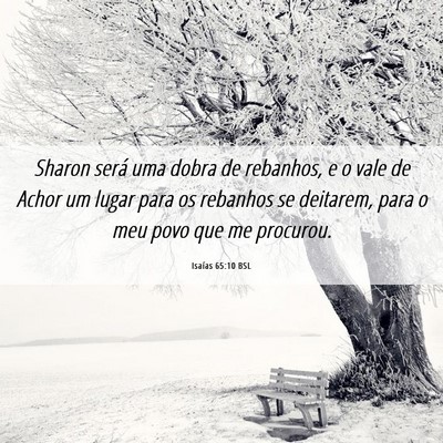 Picture 06 - Isaías 65:10 BSL - Sharon será uma dobra de rebanhos, e o vale de - Bible Verse Picture