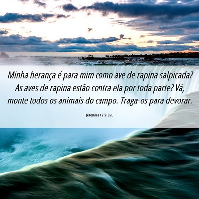 Picture 06 - Jeremias 12:9 BSL - Minha herança é para mim como ave de rapina - Bible Verse Picture