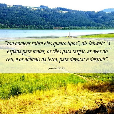 Picture 06 - Jeremias 15:3 BSL - “Vou nomear sobre eles quatro tipos”, diz - Bible Verse Picture