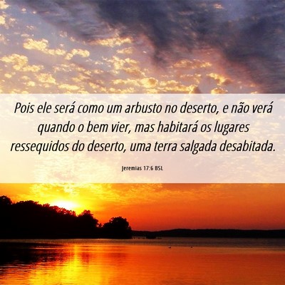 Picture 06 - Jeremias 17:6 BSL - Pois ele será como um arbusto no deserto, e não - Bible Verse Picture