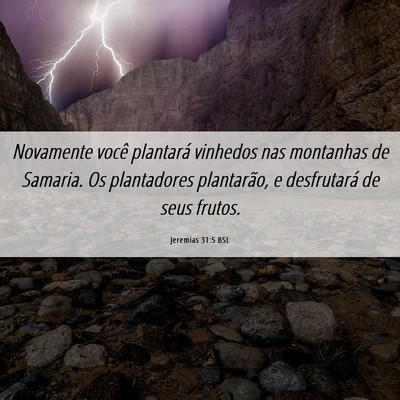 Picture 06 - Jeremias 31:5 BSL - Novamente você plantará vinhedos nas montanhas - Bible Verse Picture