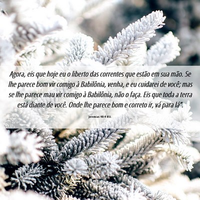 Picture 06 - Jeremias 40:4 BSL - Agora, eis que hoje eu o liberto das correntes - Bible Verse Picture