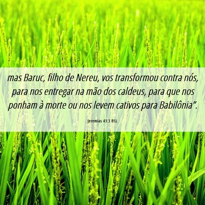Picture 06 - Jeremias 43:3 BSL - mas Baruc, filho de Nereu, vos transformou contra - Bible Verse Picture