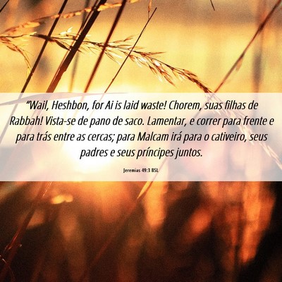 Picture 06 - Jeremias 49:3 BSL - “Wail, Heshbon, for Ai is laid waste! Chorem, - Bible Verse Picture
