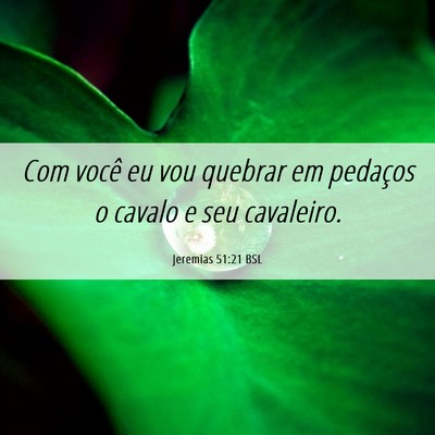 Picture 06 - Jeremias 51:21 BSL - Com você eu vou quebrar em pedaços o cavalo e - Bible Verse Picture