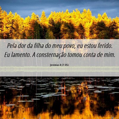 Picture 06 - Jeremias 8:21 BSL - Pela dor da filha do meu povo, eu estou ferido. - Bible Verse Picture