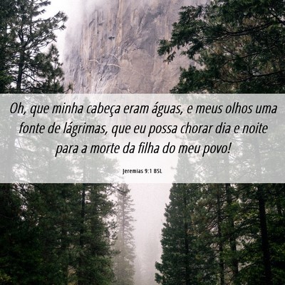 Picture 06 - Jeremias 9:1 BSL - Oh, que minha cabeça eram águas, e meus olhos - Bible Verse Picture
