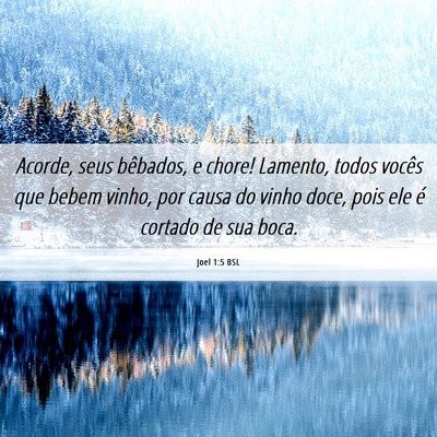 Picture 06 - Joel 1:5 BSL - Acorde, seus bêbados, e chore! Lamento, todos - Bible Verse Picture
