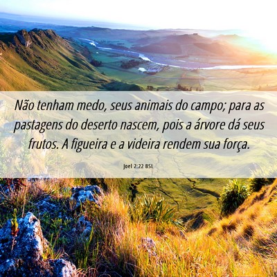 Picture 06 - Joel 2:22 BSL - Não tenham medo, seus animais do campo; para as - Bible Verse Picture