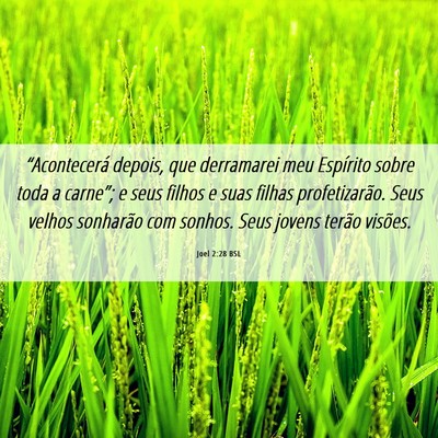 Picture 06 - Joel 2:28 BSL - “Acontecerá depois, que derramarei meu - Bible Verse Picture