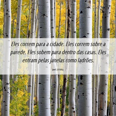 Picture 06 - Joel 2:9 BSL - Eles correm para a cidade. Eles correm sobre a - Bible Verse Picture