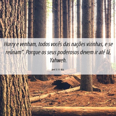 Picture 06 - Joel 3:11 BSL - Hurry e venham, todos vocês das nações - Bible Verse Picture
