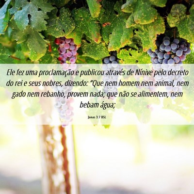 Picture 06 - Jonas 3:7 BSL - Ele fez uma proclamação e publicou através de - Bible Verse Picture
