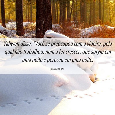 Picture 06 - Jonas 4:10 BSL - Yahweh disse: “Você se preocupou com a - Bible Verse Picture