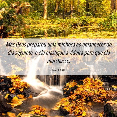 Picture 06 - Jonas 4:7 BSL - Mas Deus preparou uma minhoca ao amanhecer do dia - Bible Verse Picture