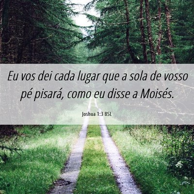 Picture 06 - Joshua 1:3 BSL - Eu vos dei cada lugar que a sola de vosso pé - Bible Verse Picture
