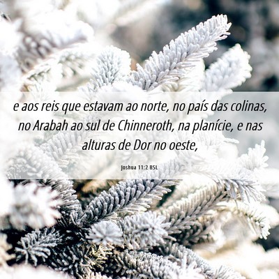 Picture 06 - Joshua 11:2 BSL - e aos reis que estavam ao norte, no país das - Bible Verse Picture