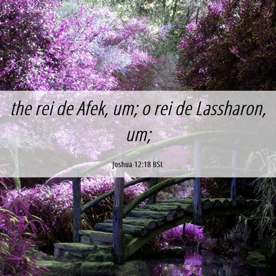Picture 06 - Joshua 12:18 BSL - the rei de Afek, um; o rei de Lassharon, - Bible Verse Picture