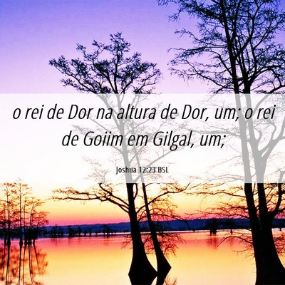 Picture 06 - Joshua 12:23 BSL - o rei de Dor na altura de Dor, um; o rei de Goiim - Bible Verse Picture