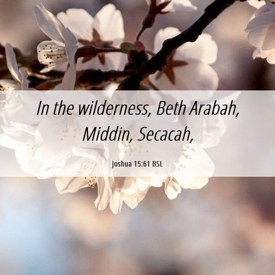 Picture 06 - Joshua 15:61 BSL - In the wilderness, Beth Arabah, Middin, - Bible Verse Picture
