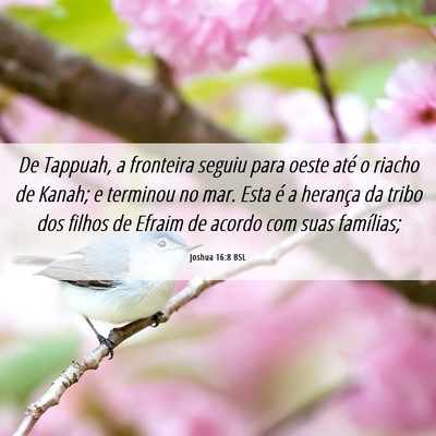 Picture 06 - Joshua 16:8 BSL - De Tappuah, a fronteira seguiu para oeste até o - Bible Verse Picture