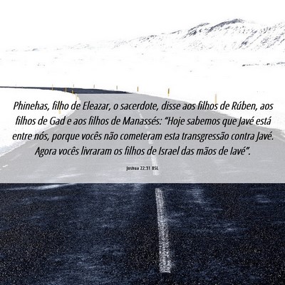 Picture 06 - Joshua 22:31 BSL - Phinehas, filho de Eleazar, o sacerdote, disse - Bible Verse Picture