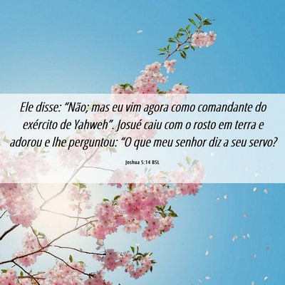 Picture 06 - Joshua 5:14 BSL - Ele disse: “Não; mas eu vim agora como - Bible Verse Picture