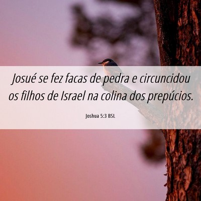 Picture 06 - Joshua 5:3 BSL - Josué se fez facas de pedra e circuncidou os - Bible Verse Picture