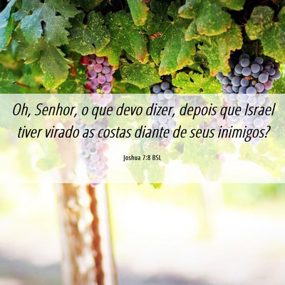 Picture 06 - Joshua 7:8 BSL - Oh, Senhor, o que devo dizer, depois que Israel - Bible Verse Picture