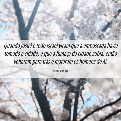 Picture 06 - Joshua 8:21 BSL - Quando Josué e todo Israel viram que a emboscada - Bible Verse Picture