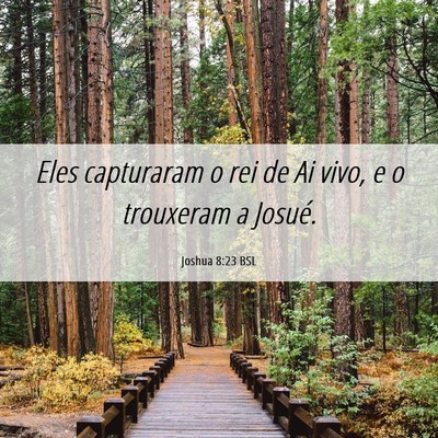 Picture 06 - Joshua 8:23 BSL - Eles capturaram o rei de Ai vivo, e o trouxeram a - Bible Verse Picture