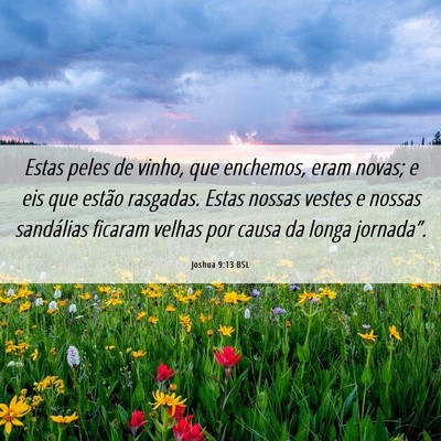 Picture 06 - Joshua 9:13 BSL - Estas peles de vinho, que enchemos, eram novas; e - Bible Verse Picture