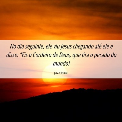 Picture 06 - João 1:29 BSL - No dia seguinte, ele viu Jesus chegando até ele - Bible Verse Picture