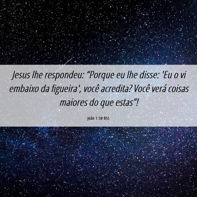 Picture 06 - João 1:50 BSL - Jesus lhe respondeu: “Porque eu lhe disse: 'Eu - Bible Verse Picture