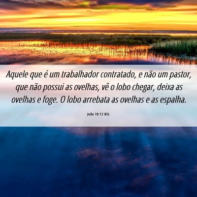 Picture 06 - João 10:12 BSL - Aquele que é um trabalhador contratado, e não - Bible Verse Picture