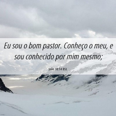 Picture 06 - João 10:14 BSL - Eu sou o bom pastor. Conheço o meu, e sou - Bible Verse Picture