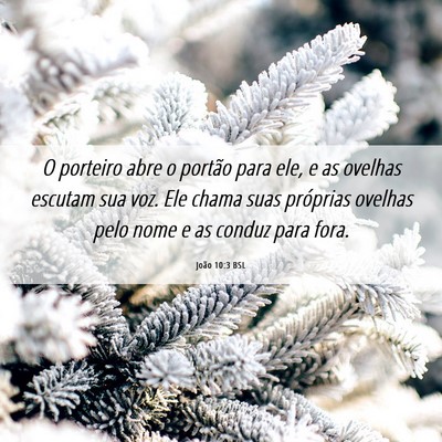 Picture 06 - João 10:3 BSL - O porteiro abre o portão para ele, e as ovelhas - Bible Verse Picture
